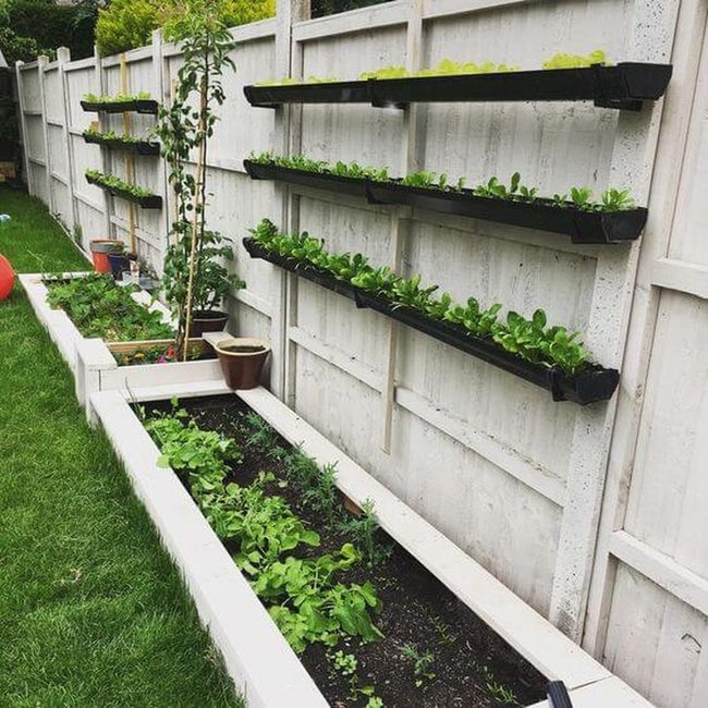 Black Planters Fresh Herbs Wall