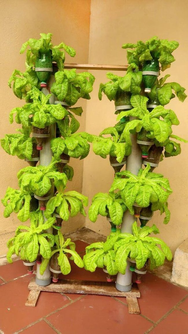 Stacked Green Layers Explode Upward