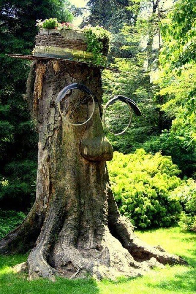 Smiling Stump With Flower Pot Eyes