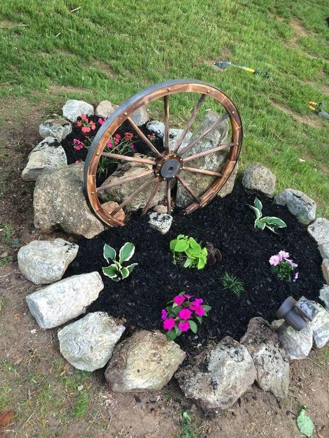 Aged Wheel Among Petunias