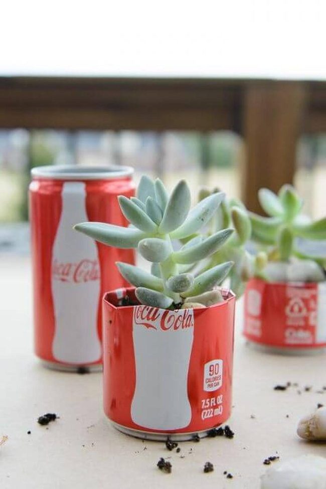 Colorful Aluminum Cans Garden