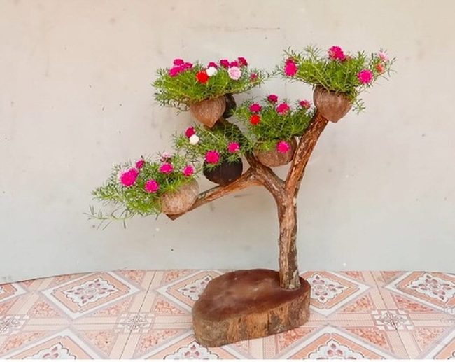 Wooden Branches, Living Pedestals