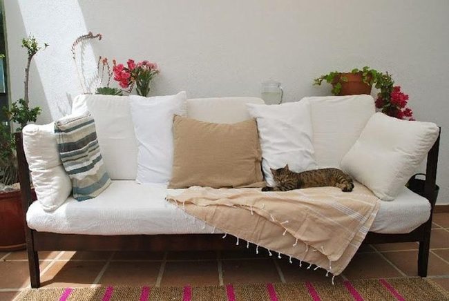 Potted Blooms Break Neutral Calm