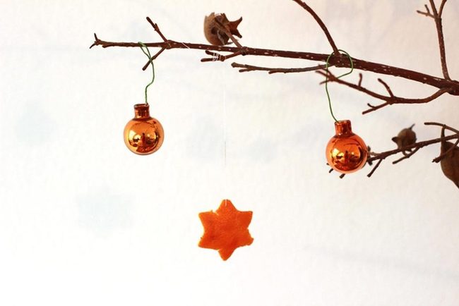 Orange Balls On Bare Branches