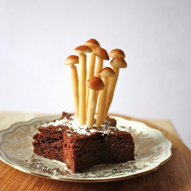 Tiny Mushrooms Sprouting Dark Chocolate