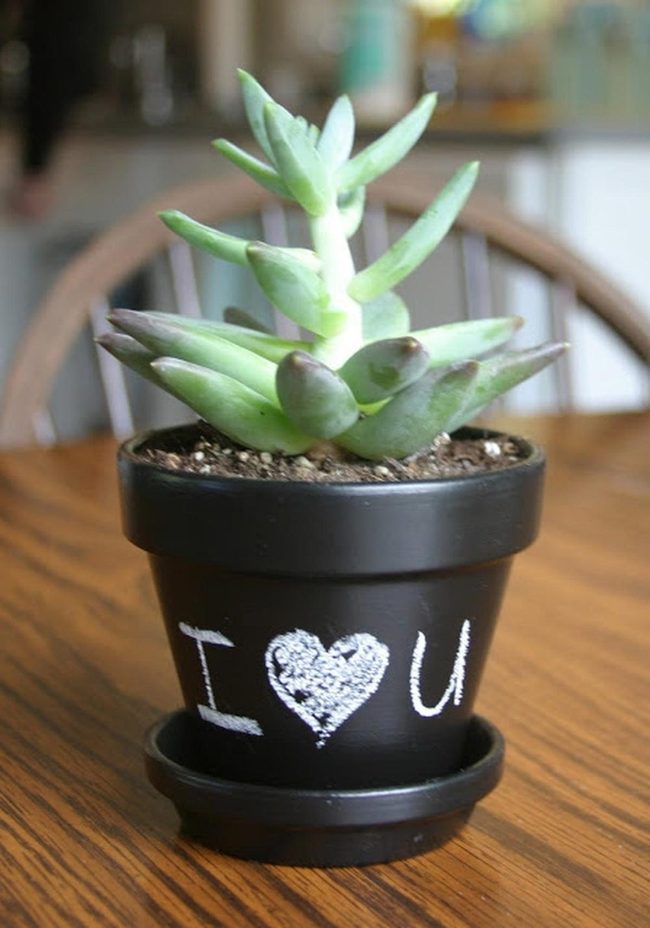 Black Pots, Green Succulents, Wooden Warmth