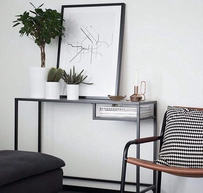 Tall Green Plant With Leather Chair