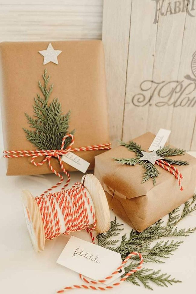 Dark Paper Meets Forest Greenery