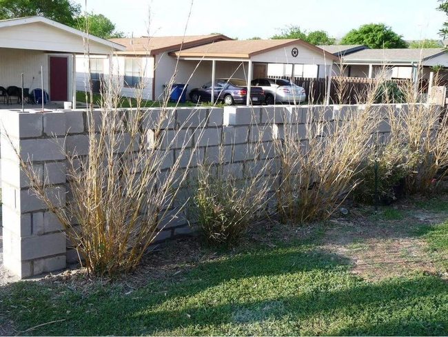 Raw Concrete Block Fence