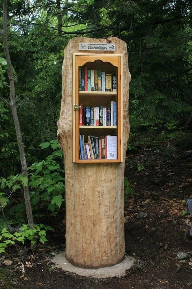Wooden Log Library With Glass Door