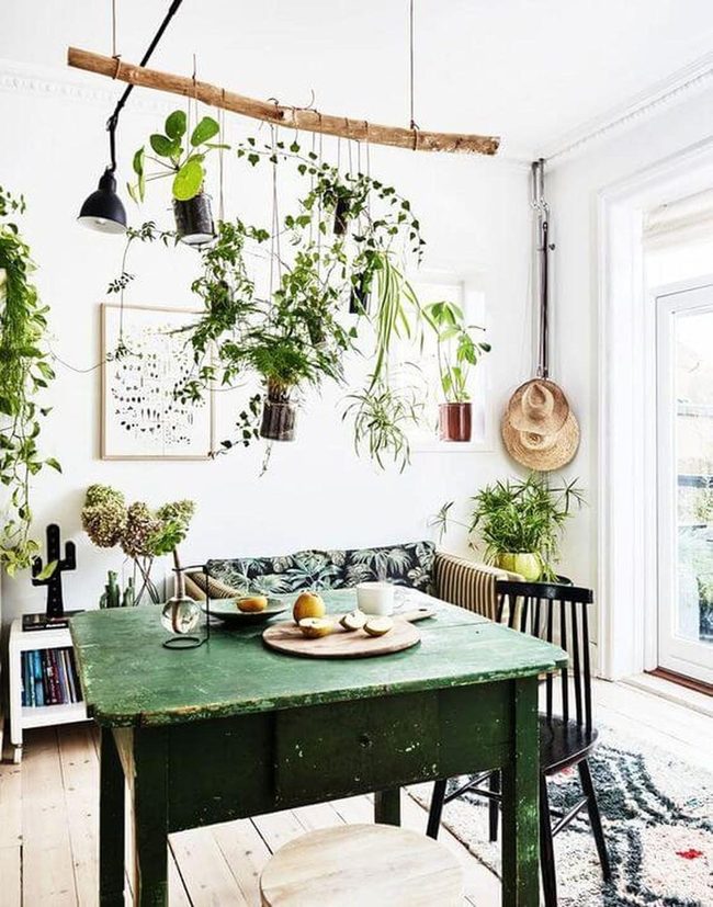 Green Cascading Plants Dining Room