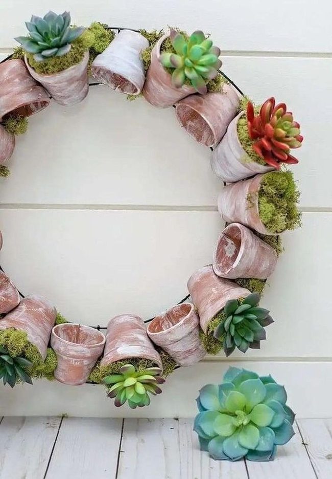 Living Succulent Wall Circle