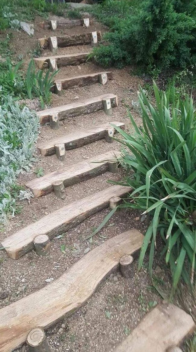 Weathered Log Steps Through Garden