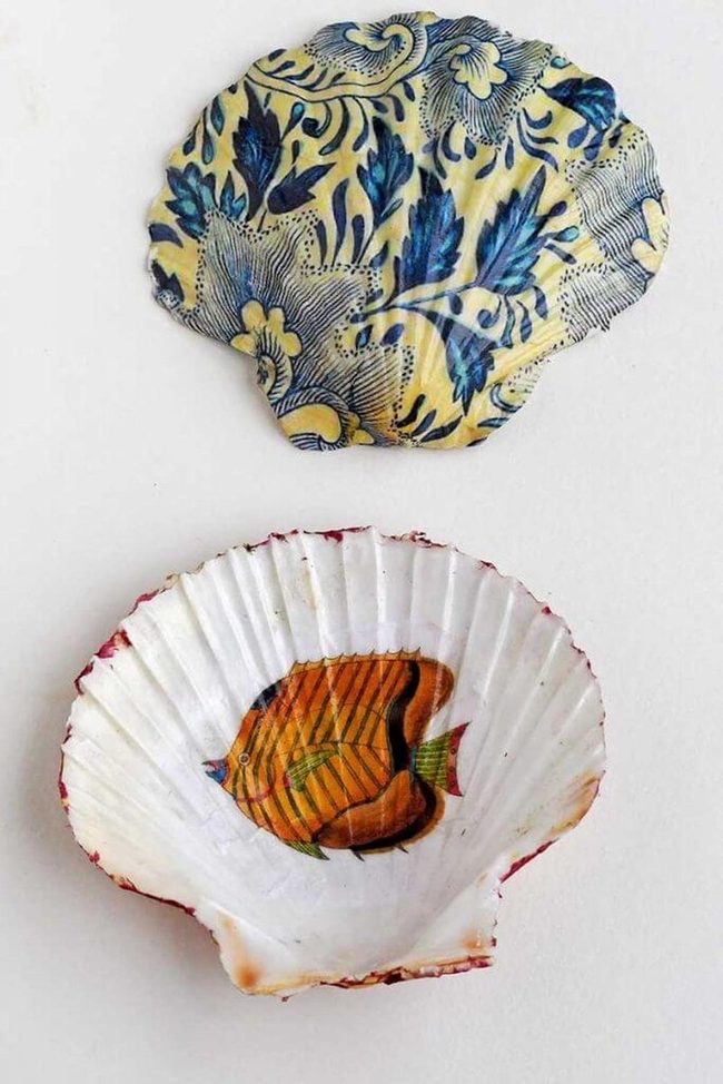 Scallop Shell Ridged Catchall
