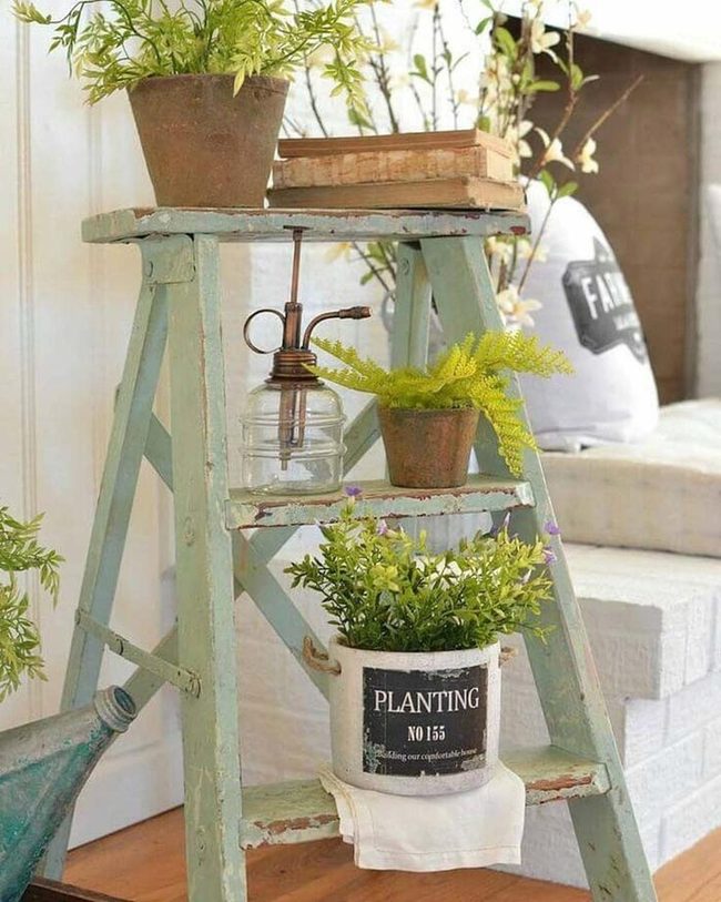 Wooden Ladder Living Plant Wall