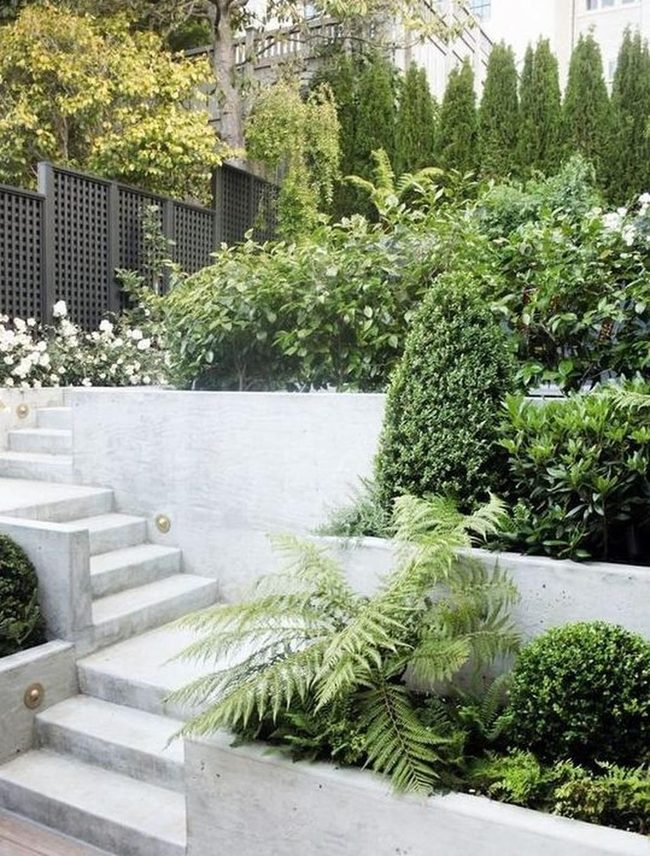 Dark Grid Fencing Meets Lush Green
