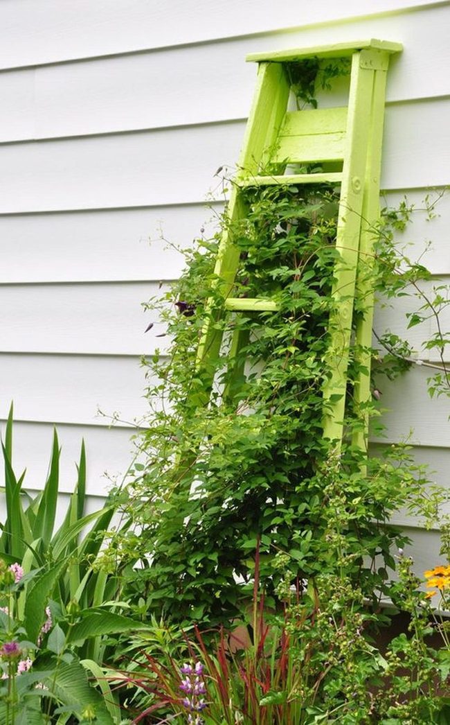 Green Vine Trellis Vertical Garden