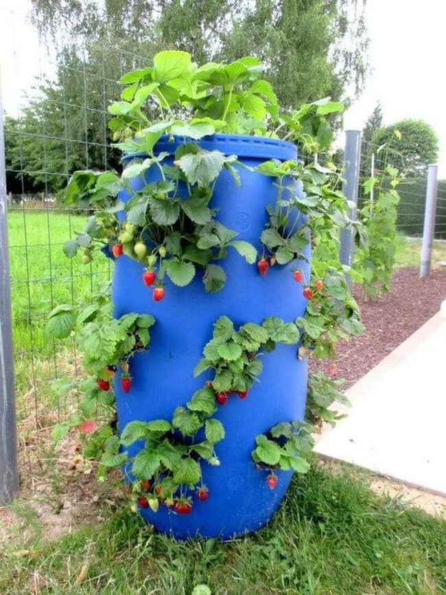 Drum Container Vertical Gardens