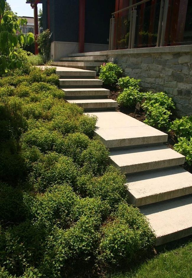 Green Stairway Through Stone