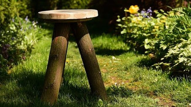 Gnarled Wood Outdoor Stools