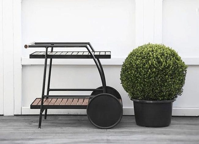 Metal Cart Green Plant Pairing