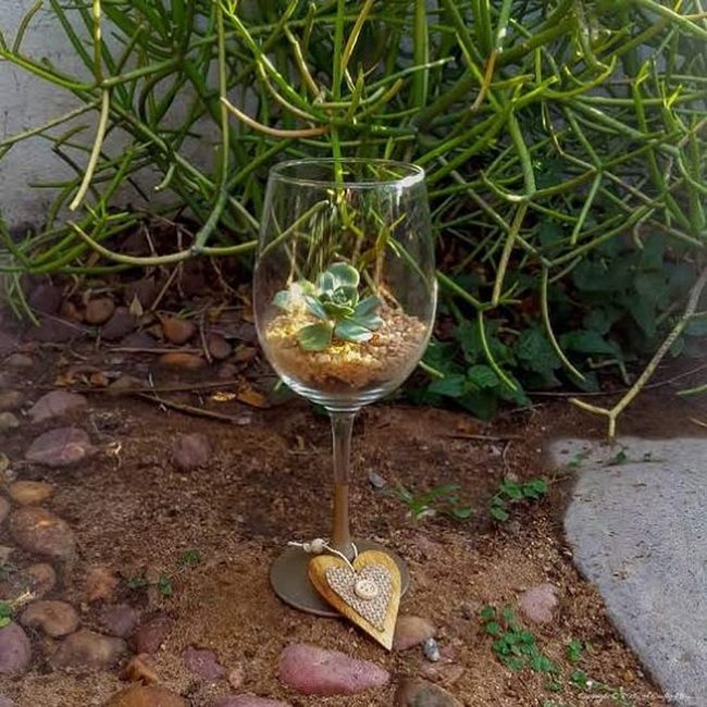 Transparent Succulent Terrariums For Small Spaces