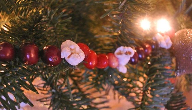 Red Beads Golden Pine Shimmer