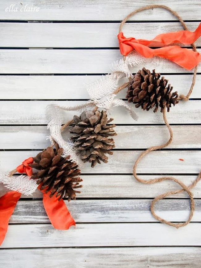 Orange Ribbons On Natural Pinecones