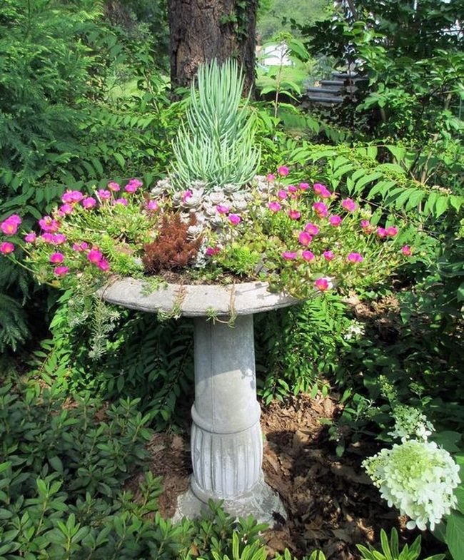 Pink Blooms Garden Birdbath