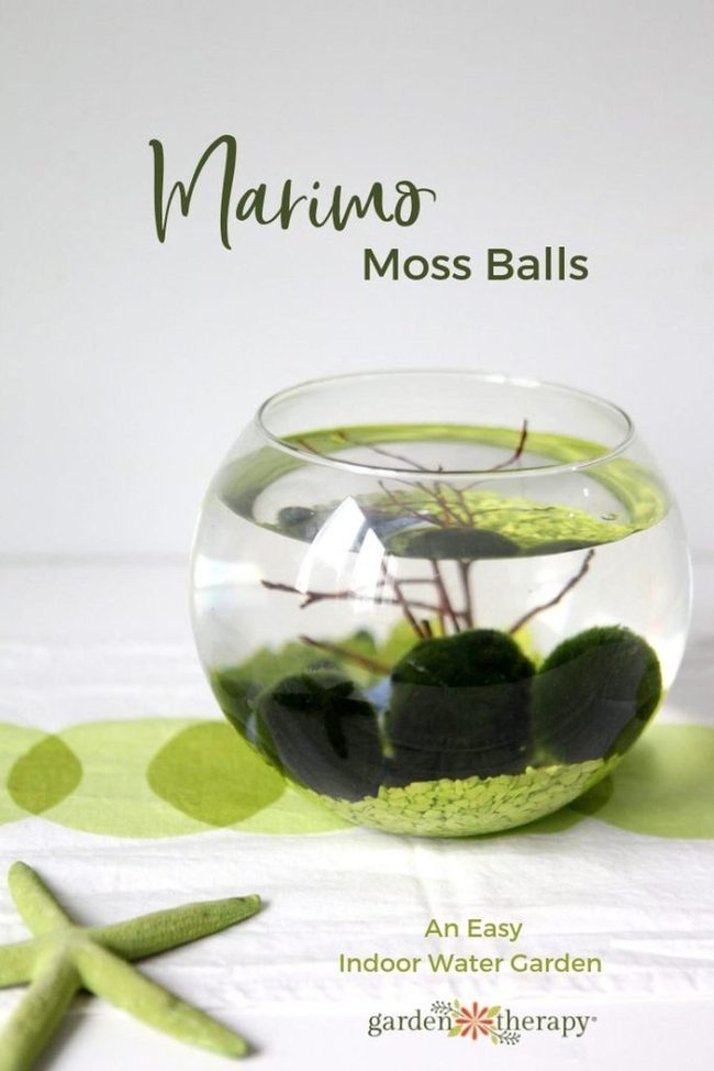 Green Glass Sphere Gardens