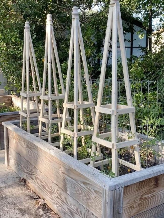 Wooden Triangles Supporting Growth