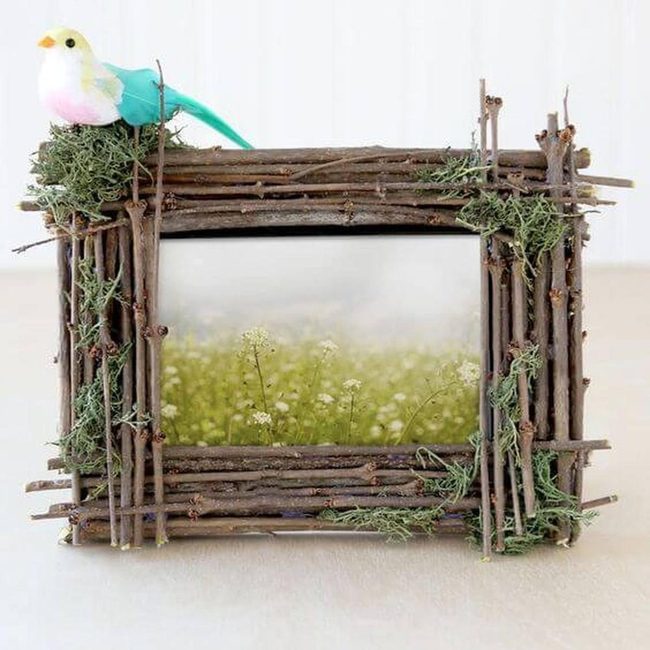 Twigs, Birds, Living Room Nature
