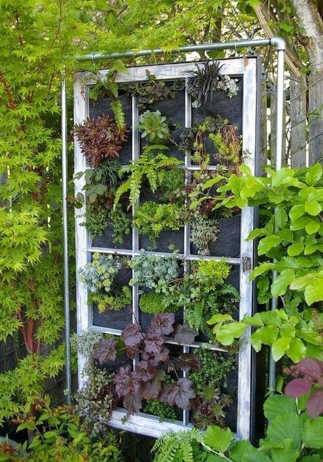 Living Window Garden Wall