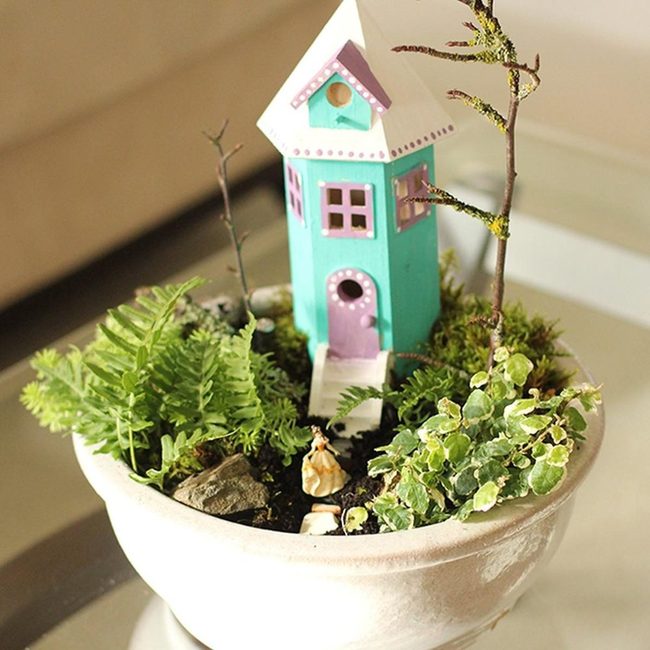 Teal House Tiny Ecosystem