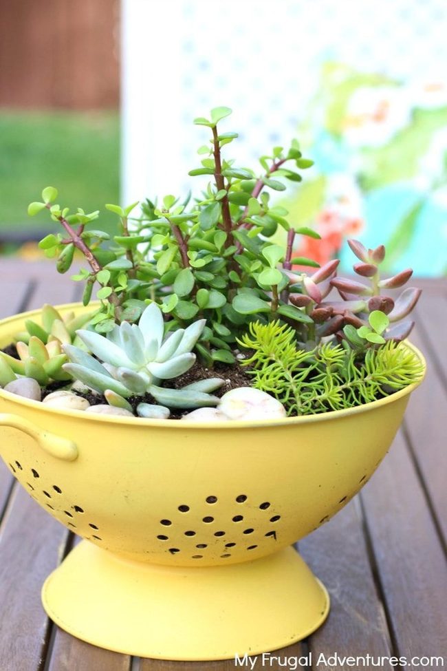 Perforated Kitchen Colanders As Planters