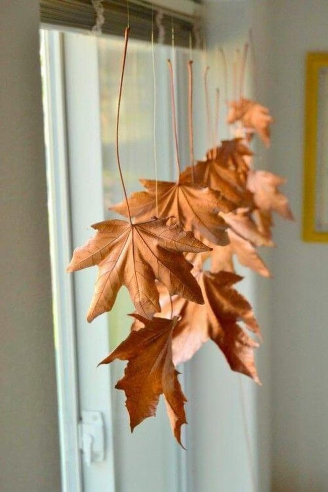 Autumn Leaves Cast Shadows