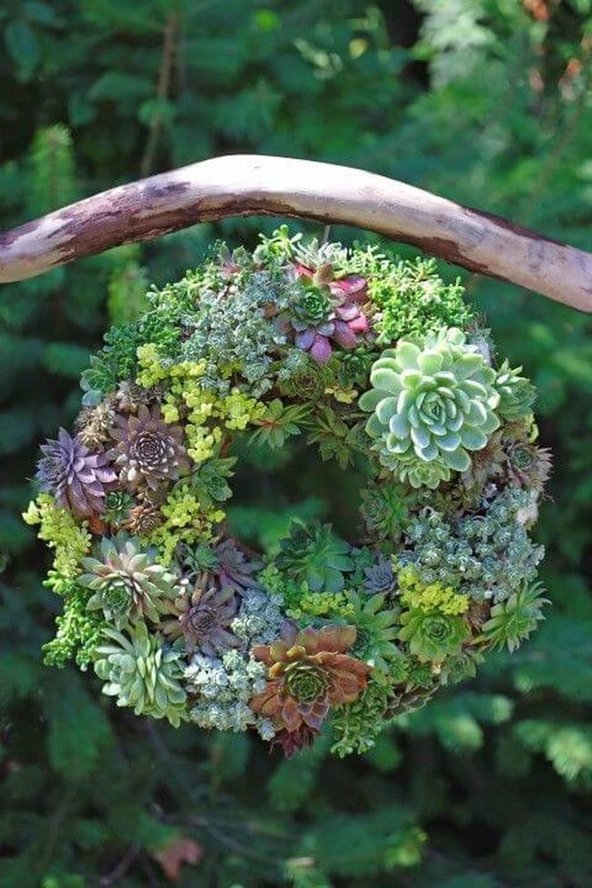Living Green Circular Statement