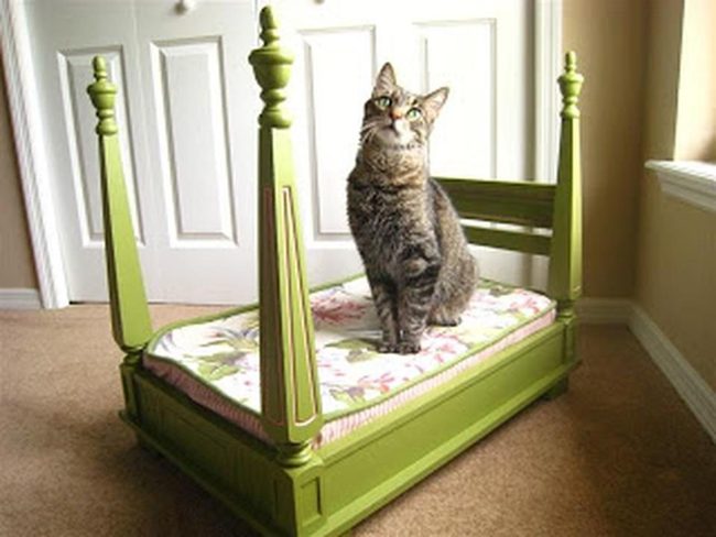 Green Wooden Bed With Tabby Cat