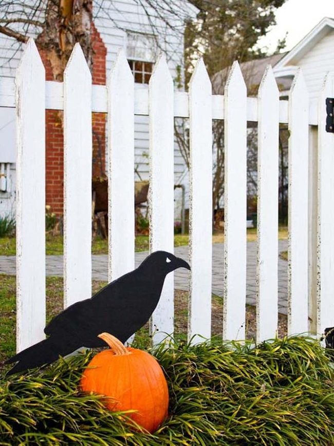 Black Crows White Fence Gothic