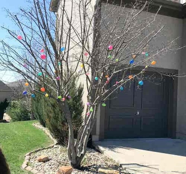 Dangling Pastel Eggs On Branches