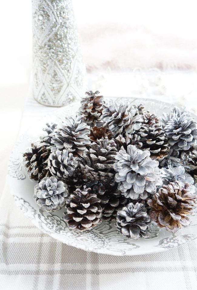 Frosted Pinecones On Neutral Tones