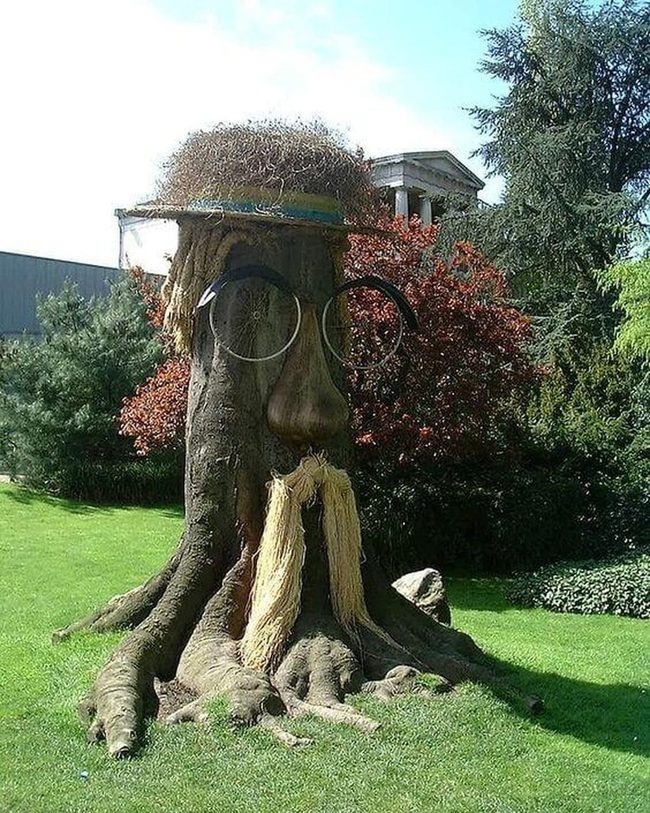 Quirky Tree Stump Garden Art