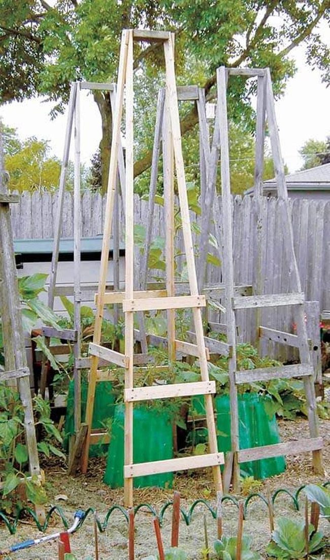 Wooden Tomato Ladder Garden