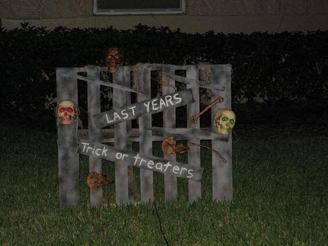 Bleached Bone Wood Displays
