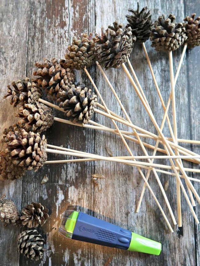 Pinecone Picks Natural Texture