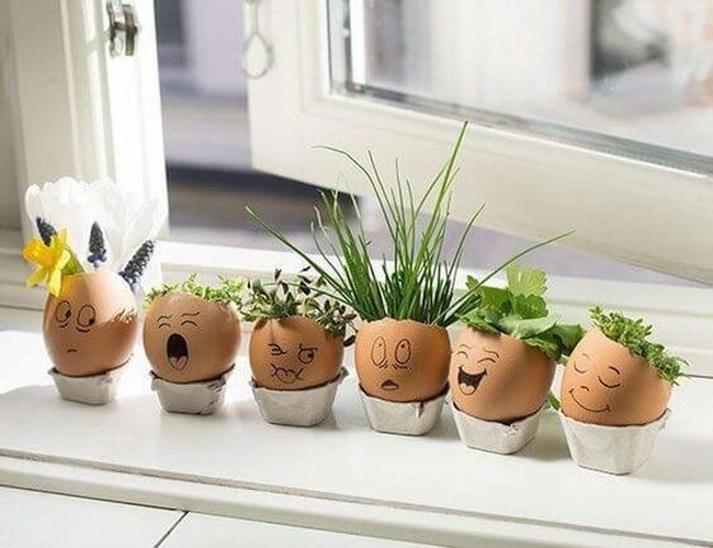Eggshell Planters For Tiny Greens