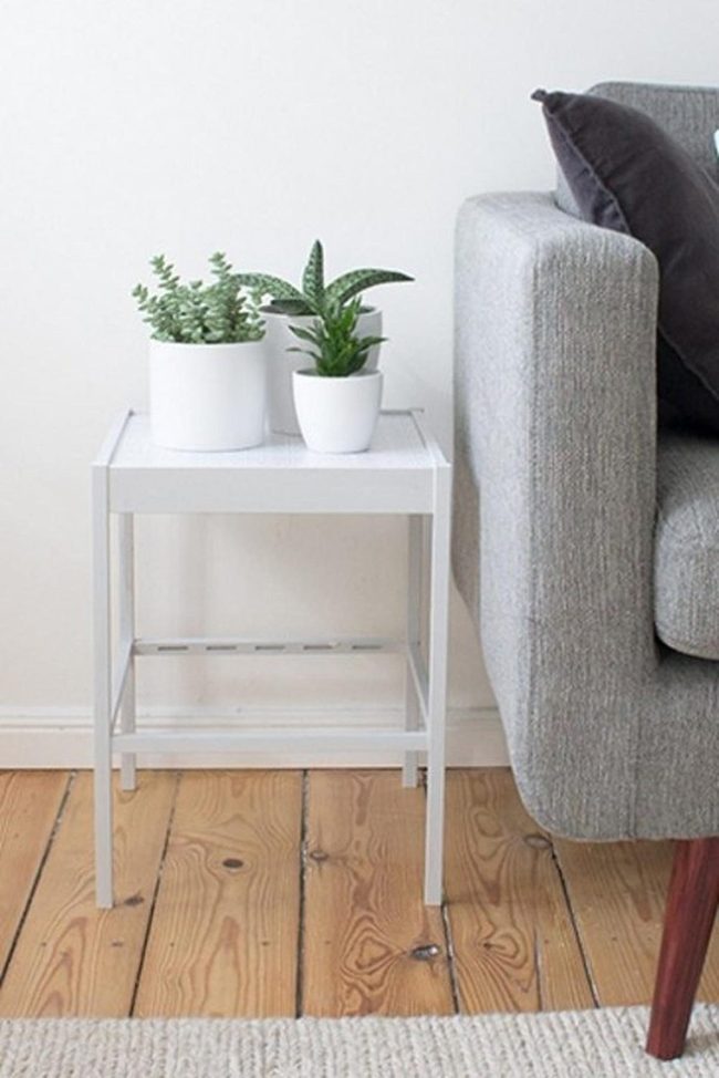 Green Plants White Pots Minimal