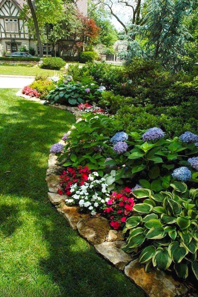 Blooming Hydrangeas With Stone Borders