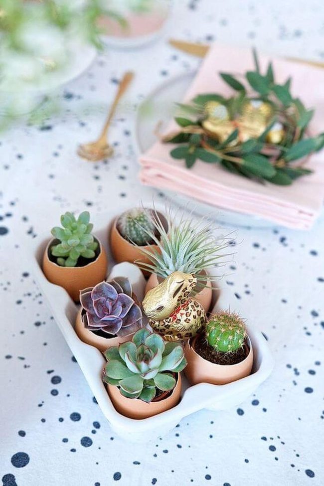 Eggshell Succulent Mini Gardens