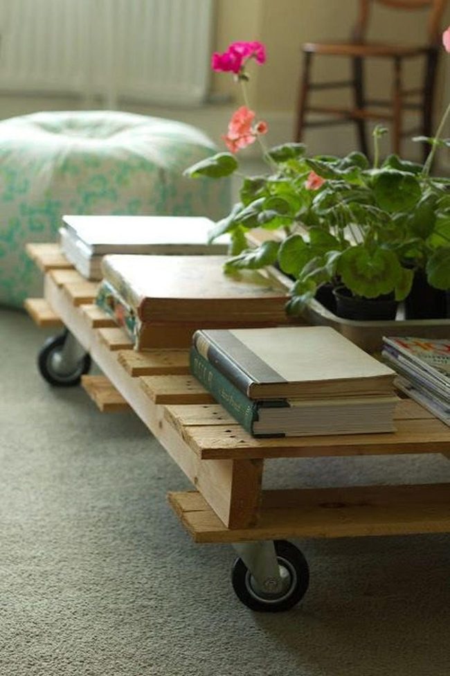 Soft Green Carpet Sanctuary